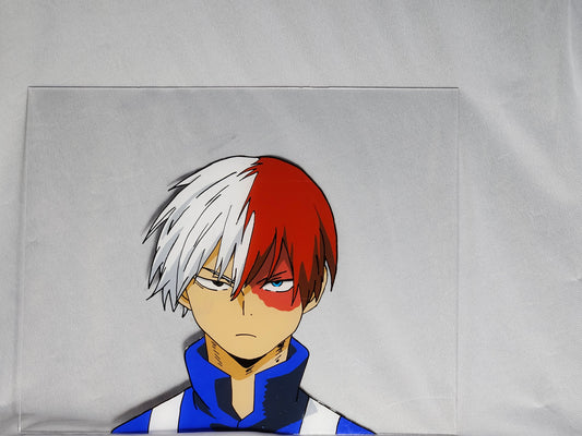 Todoroki